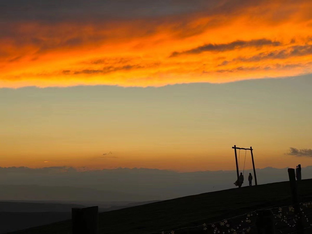 Maverick tweet media