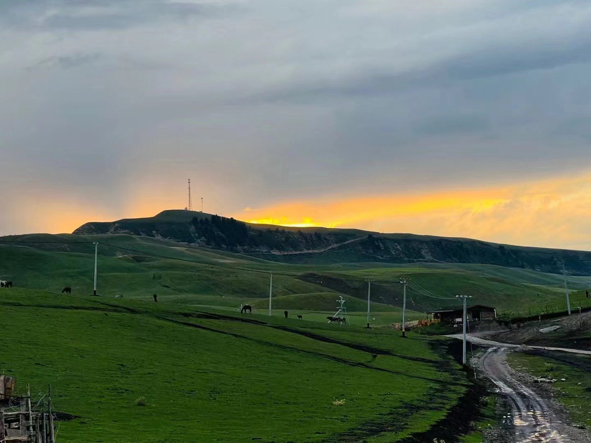 Maverick tweet media