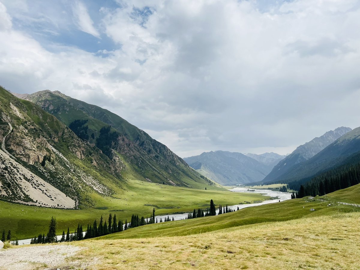 Maverick tweet media