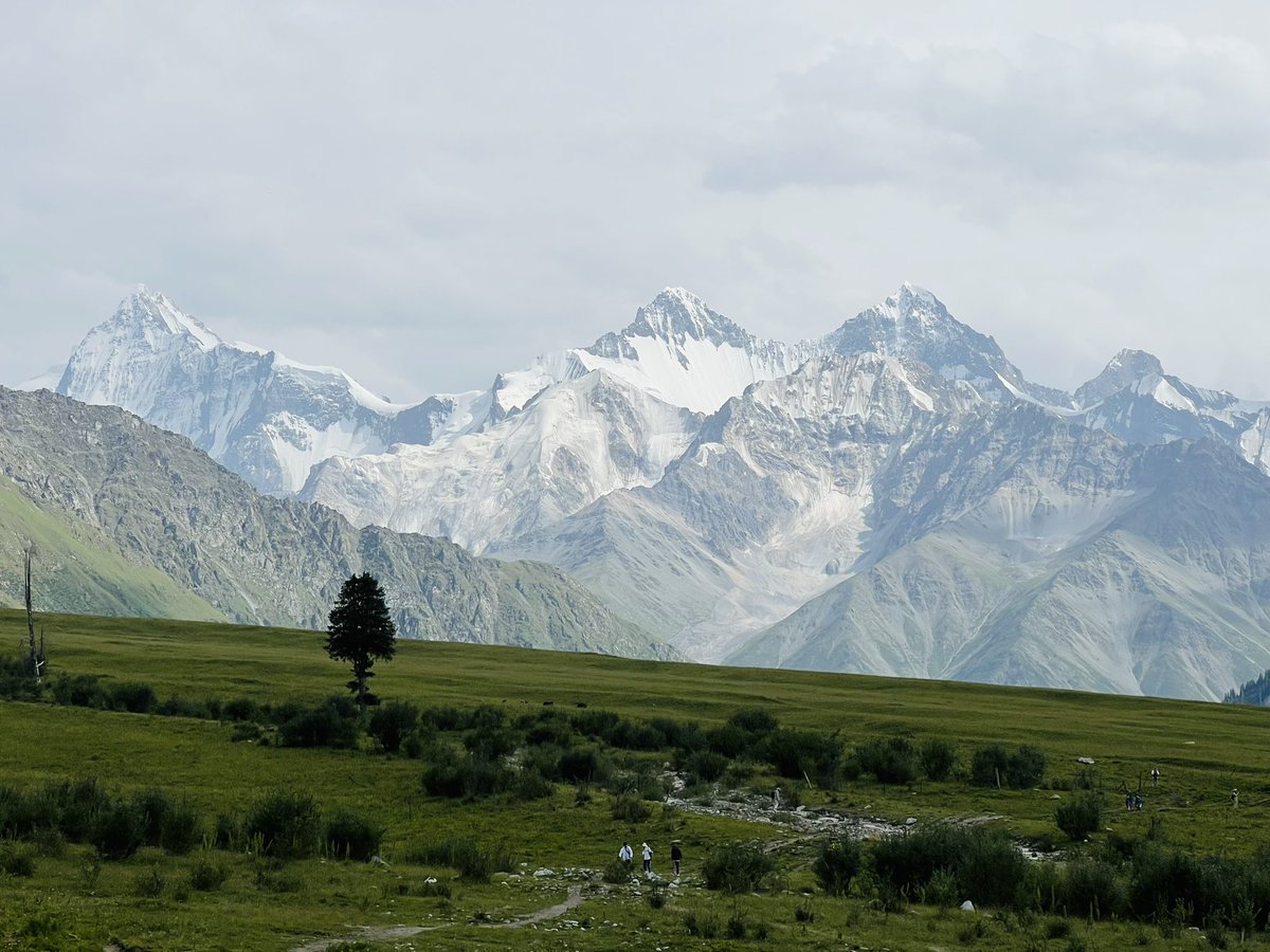 Maverick tweet media