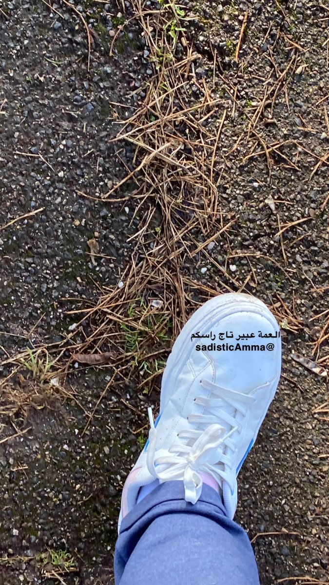 SadisticAmma's tweet photo. كنت مشترية حذاء احبه مرة بس للأسف صار فيه ريحة عرق لاني استعملته كثير https://t.co/6CYfbf2pXI