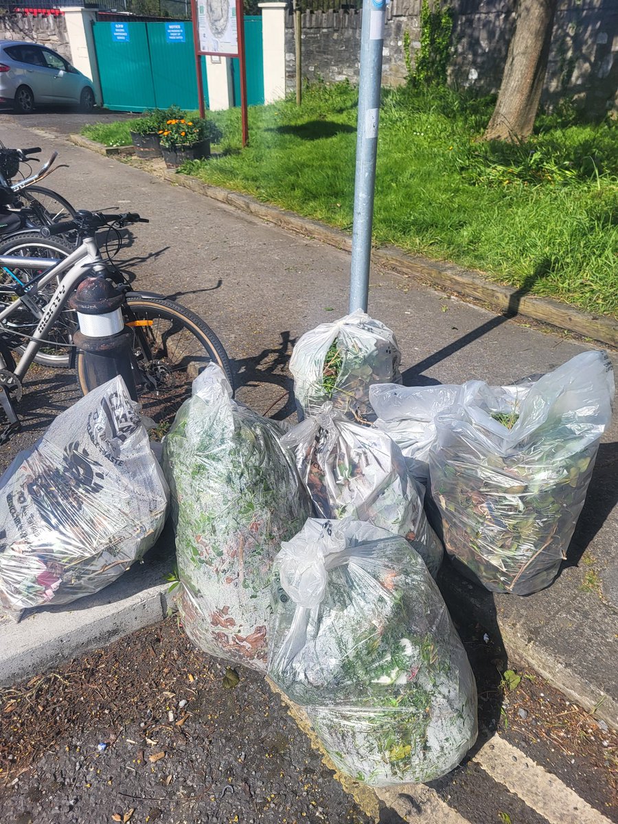 Well two neighbours can make a difference we got out at 2pm & just finishing up @DubCityCouncil #CleanUp #heaveninglasnevin hopefully inspire more folks to join in next time #2minutestreetclean