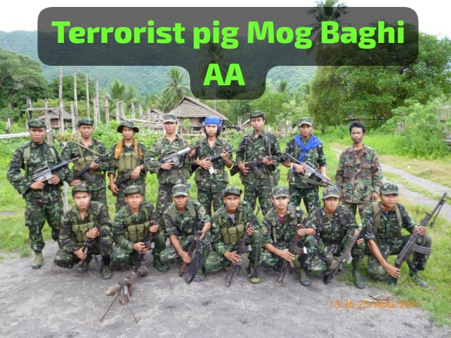 Eleyas, Mujia s/o Ata Ullah , Mason's son from Kepyu Taung village, BTD have been killed Terrorists Mog AA on 26th April . These Rohingyas were traveling to home from Hawarbil, MDW through Na Kine Taung's valley . Approximately 300 members of Terrorist AA killed these Rohingyas.