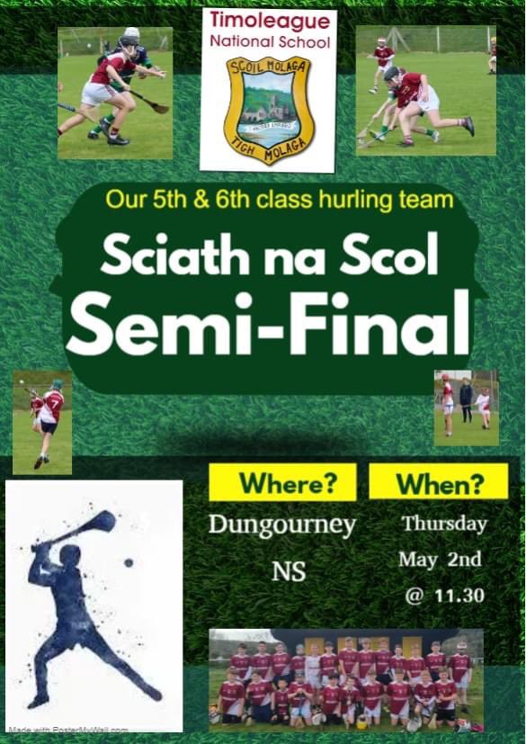 Timoleague NS tweet media