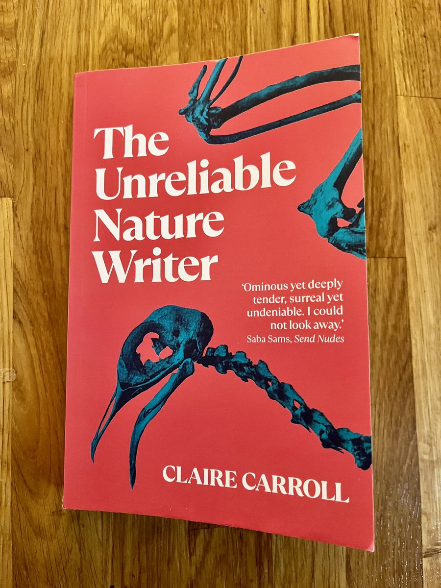 Claire Carroll’s striking first book, ‘The Unreliable Nature Writer’, unsettles the reader into stories of imagined natures, ones we live in & beside, & that might outlive us. Worlds of present & approaching dread, slow cooked in catastrophe, of transformed or extinct personhood.