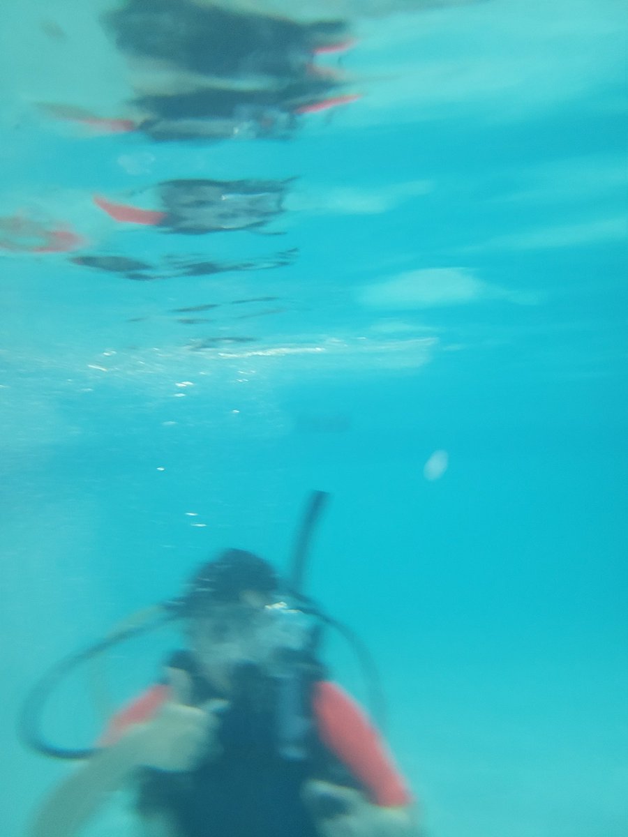 12thWalsall's tweet photo. Thanks for the promotion for scuba diving.@scouts Our troop had a fabulous time and we did an investiture too. #skillsforlife #makeivestiturespecial @AquasportOnline https://t.co/ndDOjvyNQy