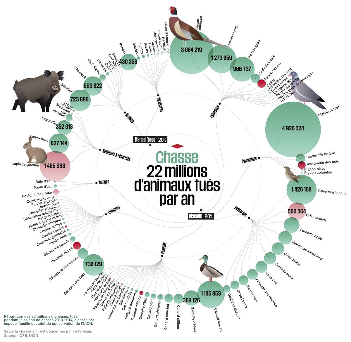 Les chasseurs français tuent plus de 22 millions d’animaux par an.  

#france #ruralité #ruralitéAntichasse #antichasse #chasseurTueur #chasseperversion #TuerEstLeurPlaisir #9Juin #ElectionEuropéenne #Européenne2024