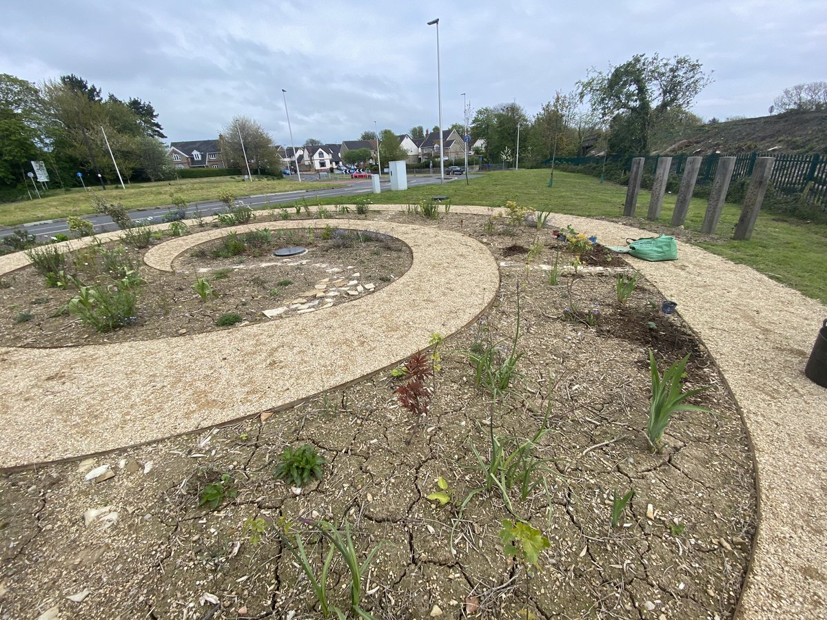 Thank you to the wonderful @EmmaGeliot for her expert gardening knowledge & plant passion. Today we planted several tree saplings inc apple trees & a little weeding. The Bee Hapus Garden- A public art project for Heritage Gate, Llantwit Major is a joy to work on 🌱#beegardens