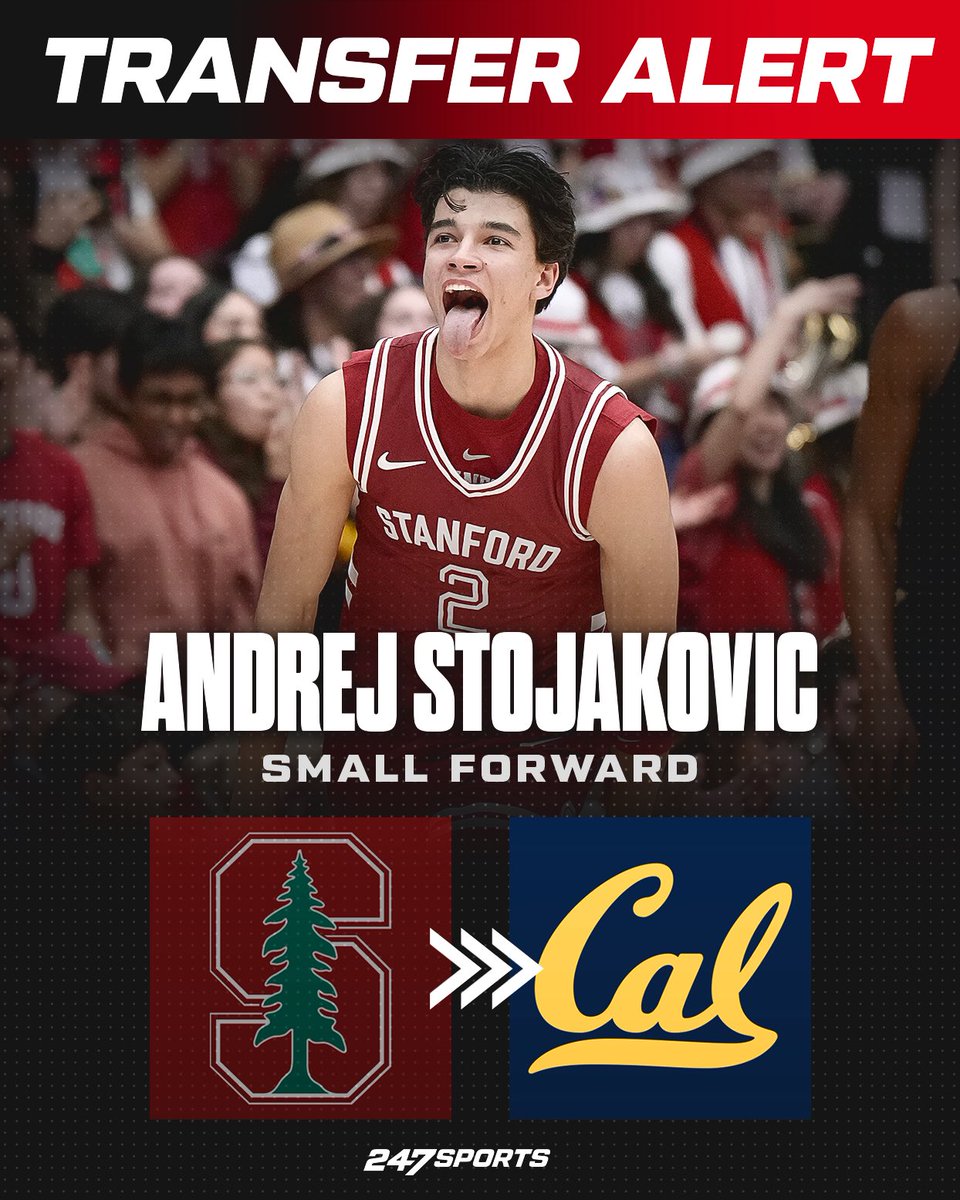 TravisBranham_'s tweet image. NEWS: Stanford transfer Andrej Stojakovic, the son of NBA legend Peja Stojakovic, has committed to Mark Madsen and the California Golden Bears, he tells @247SportsPortal. 

Story: 247sports.com/article/andrej…
