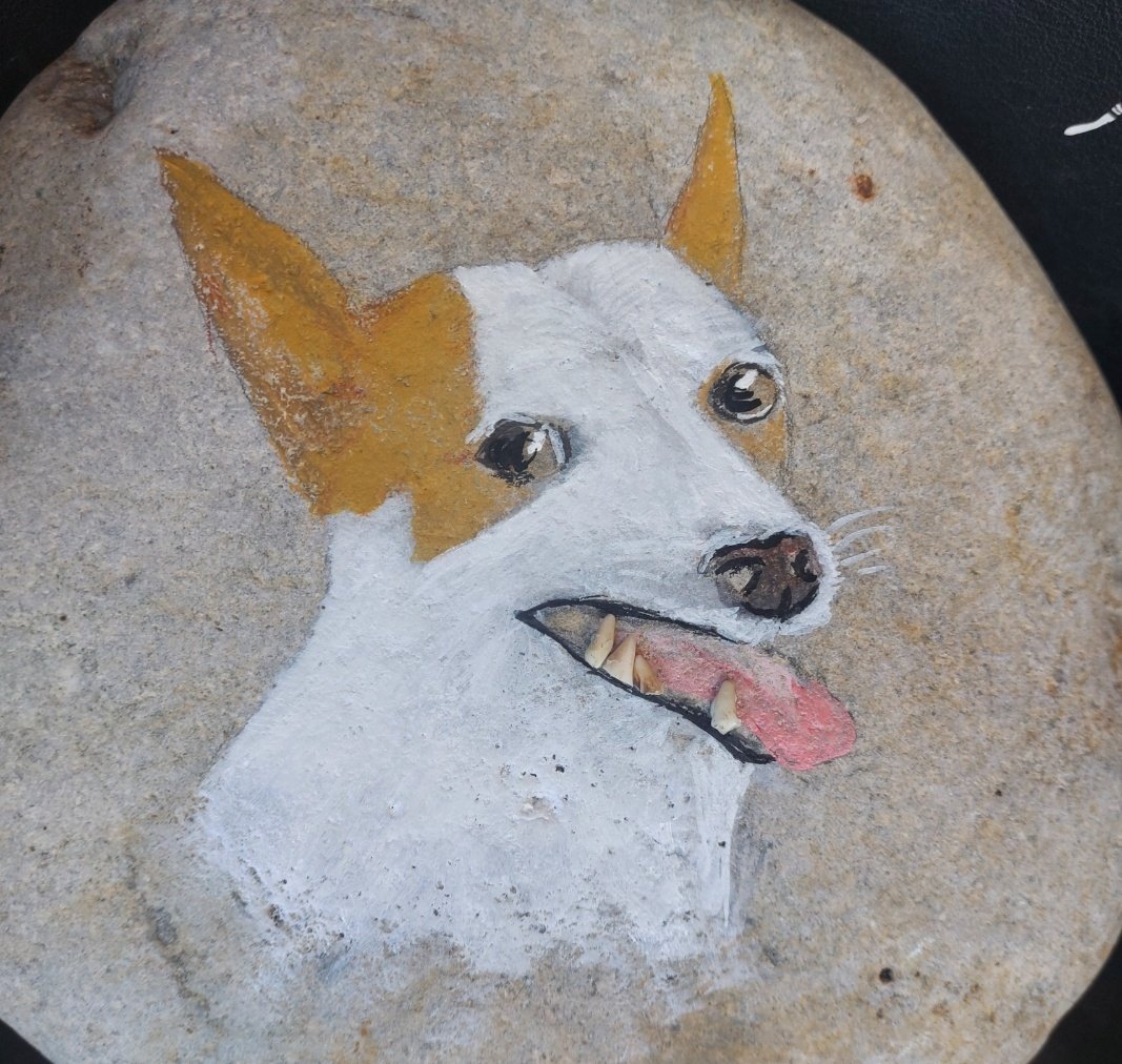 The vet gave me back Novas teeth last week and i didnt want to bin them so I gave them back to her😆 just needs to be sealed with a bit of resin & it's done Nova-acrylic,pencil & teeth on stone