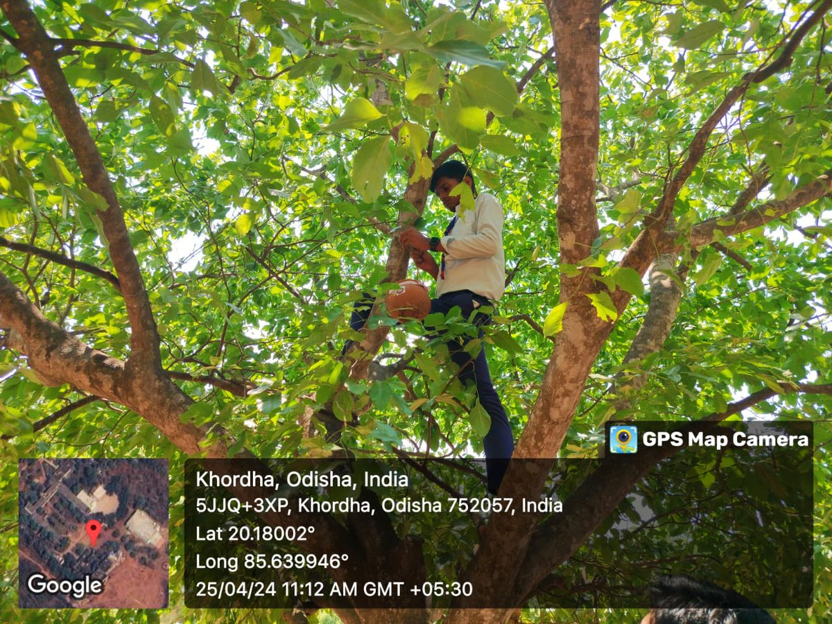 Pn_NSS's tweet photo. NSS Co-Unit of PN College (Auto.) Set up some earthen pots to trees to provide water for birds in this scorching summer.
PS- Water is refilled regularly by local volunteers.
Date- 25 April 2024
#Relief #birds #nss #nssindia #volunteers #nssodisha #earthenpots #summer https://t.co/SCeMyXyRaS