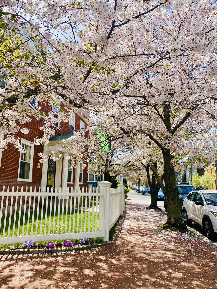 Oh hi @NBPTLitFest @DogUmwelt @jgerstenblatt @robinkall 🌸📚