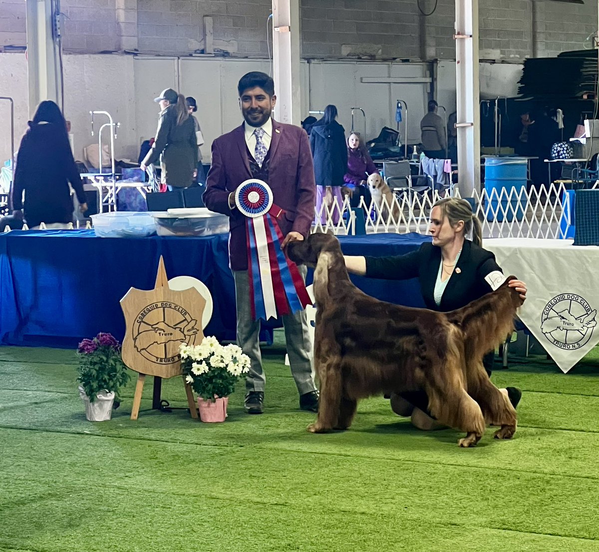Best in show ☘️ Lenox 

<a href="/WKCDOGS/">Westminster Kennel Club</a>