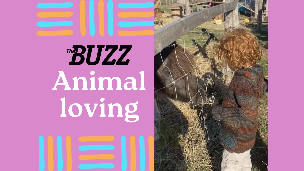 'I am definitely one of those people who feel an internal conflict when it comes to animals in “show.” In pretty much any scenario where animals are part of the exhibit, I struggle to actually enjoy myself.' Read more here: buzzpei.com/animal-loving/