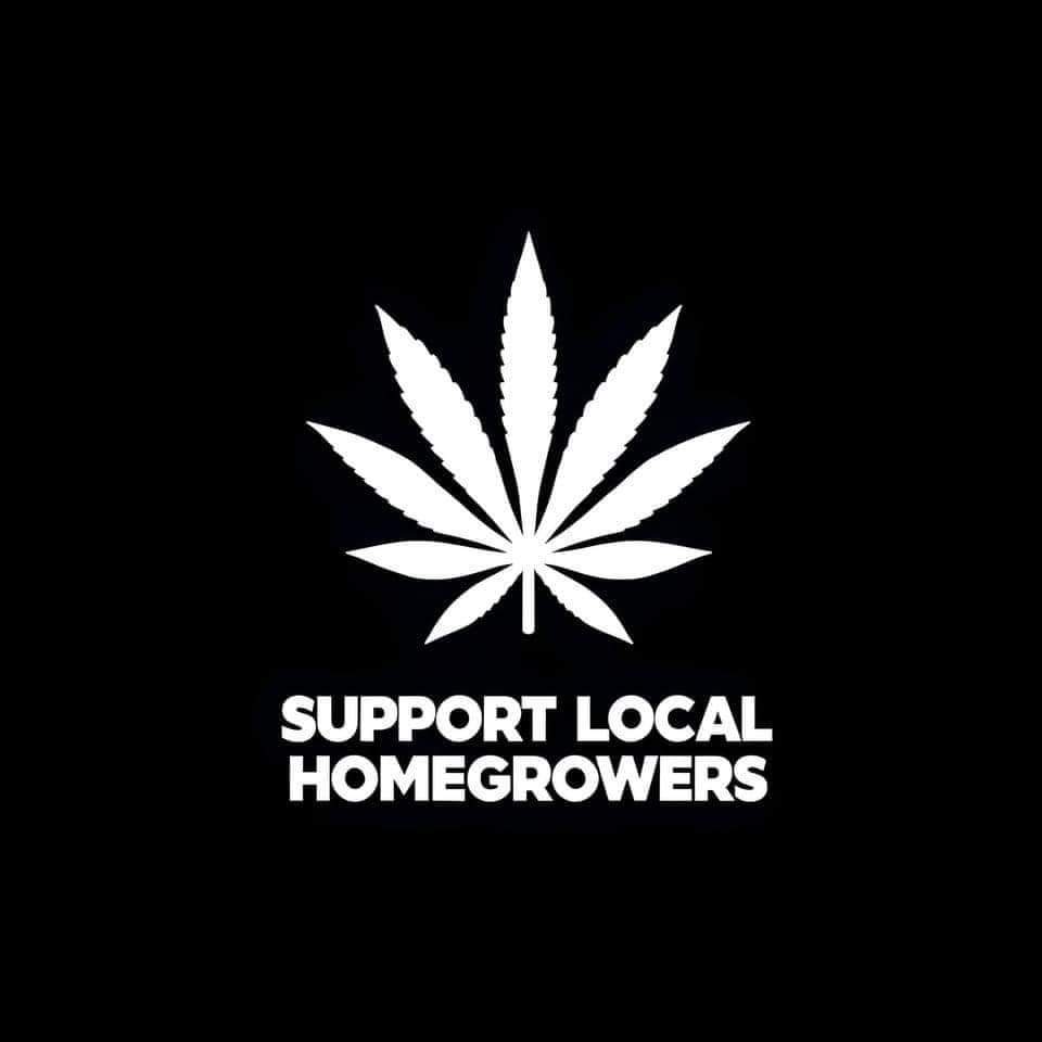 FrostBudFarms's tweet photo. 🌿📢Join Our Cannabis Photo Contest! 
🔥💥How to Enter:💥🔥
1. Post up to 3 stunning cannabis flower photos.
2. Use #supportlocalhomegrowers 
3. Tag us @FrostBudFarms 
Retweet and tag 2 friends 

🎁❤️‍🔥Prizes in comments 
Good luck https://t.co/y0Ylu90tce