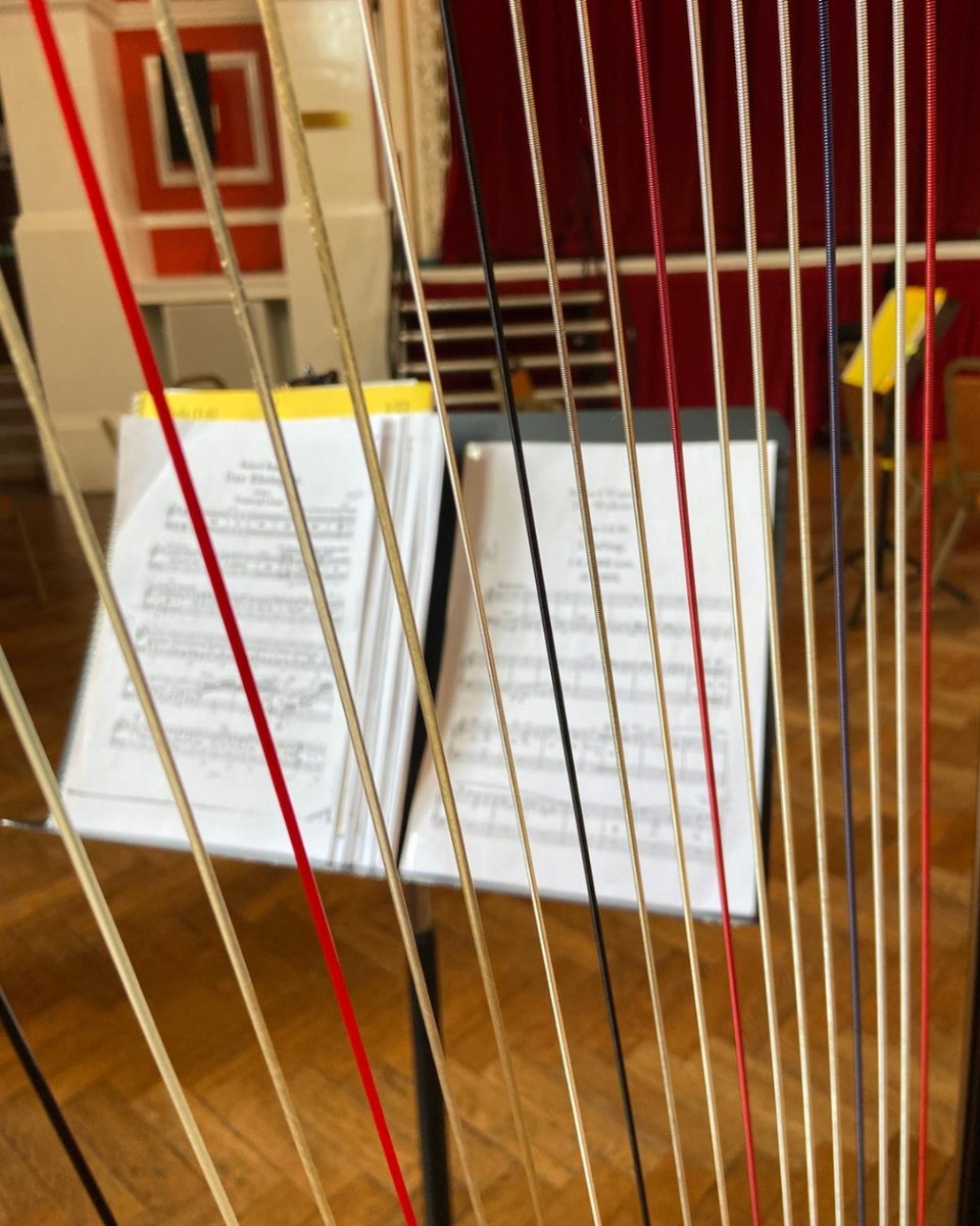 The LFO Orchestra have started rehearsing! 🎻 We can't wait to put it all together over the next few weeks, ready for our performances this Summer 🤩 📸 Thanks to Robyn (Viola) and Rita (Harp) for these behind-the-scenes snaps from earlier in the week.