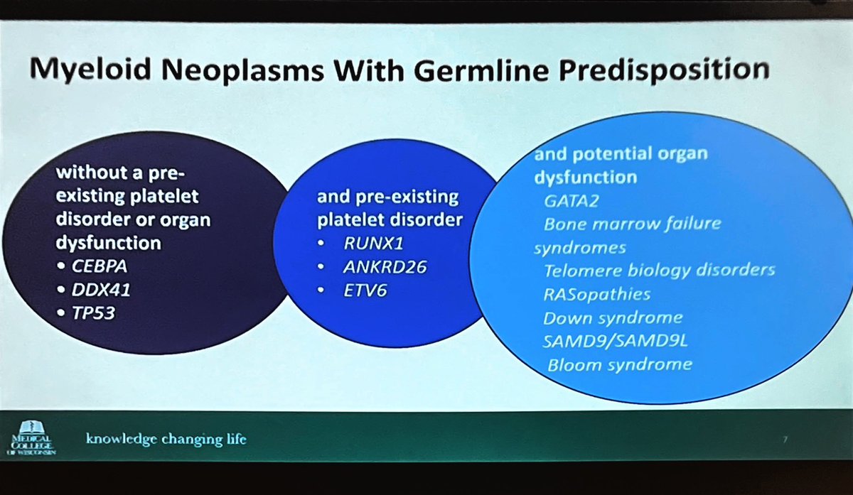 Dr. Atallah @MCWCancerCenter providing update in #AMLsm at 3rd #Midwest cellular meeting #leuksm