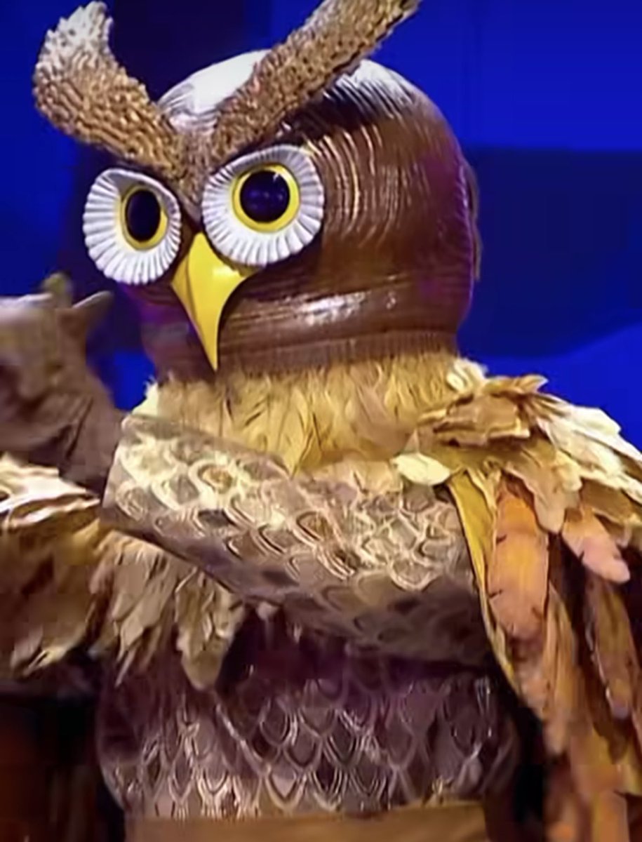 #MaskedSingerSA Owl performence caught my attention also owned the stage this was my fav so far @MaskedSingerZA made my evening