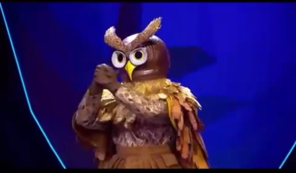 The owl really did put in their best performance tonight, it was the most entertaining performance of the night 🤩 Who was your favourite tonight? #MaskedSingerSA @MaskedSingerZA