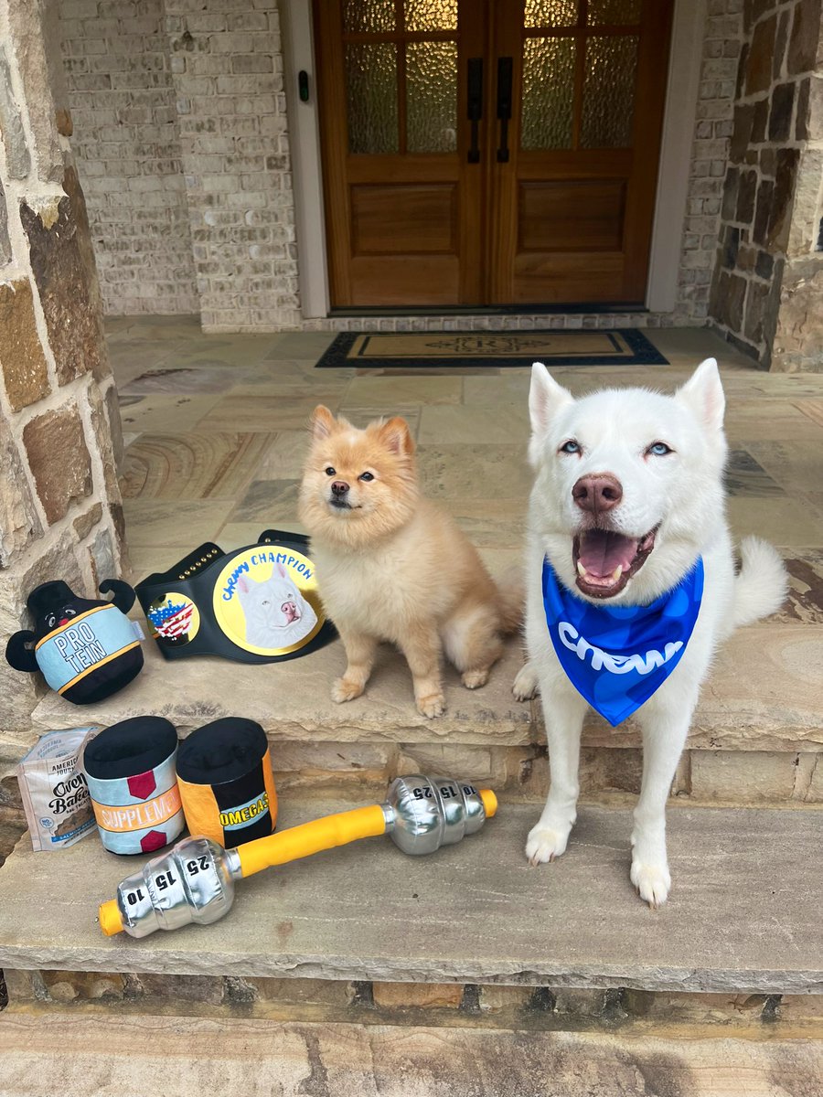 CodyRhodes's tweet photo. Yeti with the legendary boo boo face 🐾 https://t.co/v3et8oh7dg