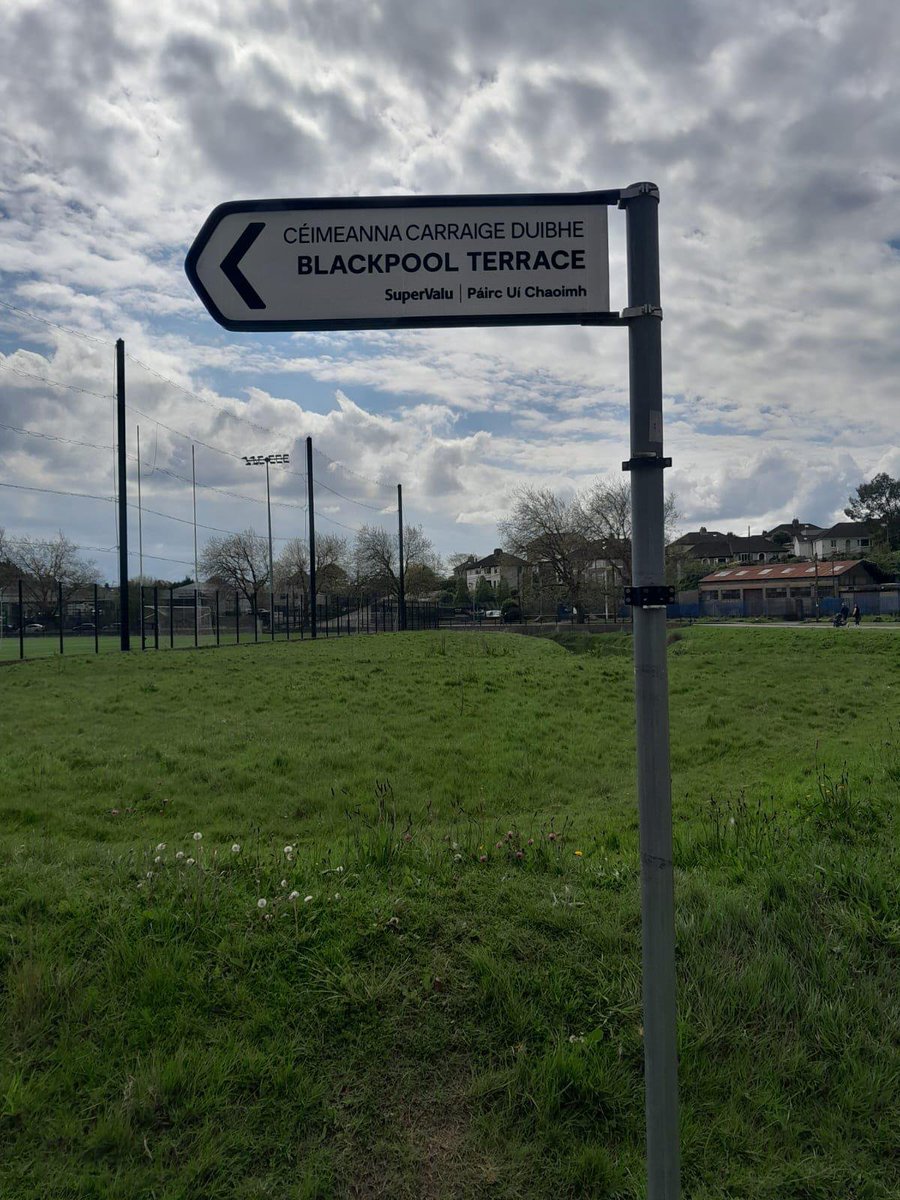 Michael Moynihan tweet media