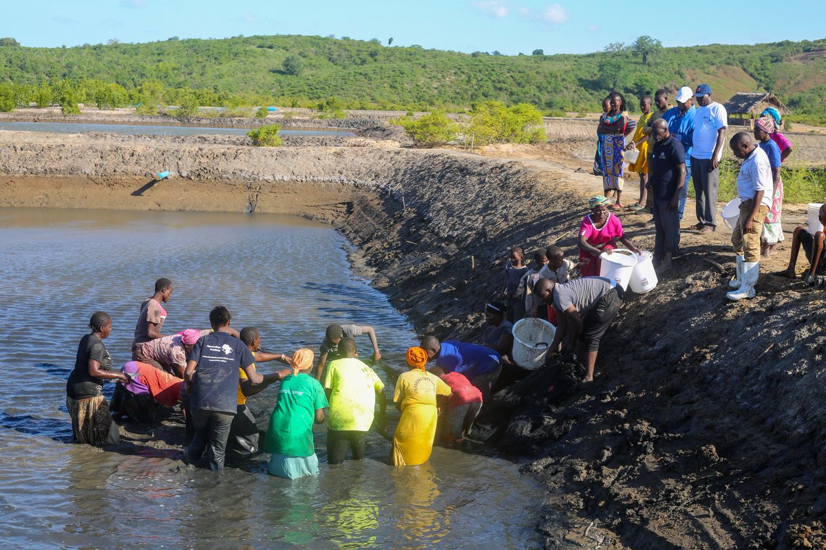 These ponds, which were financed through the KEMFSED grant, will serve as a means for all 24 members of the Ihaleni Kaluluni Self Help Group to generate income and improve their overall quality of life.