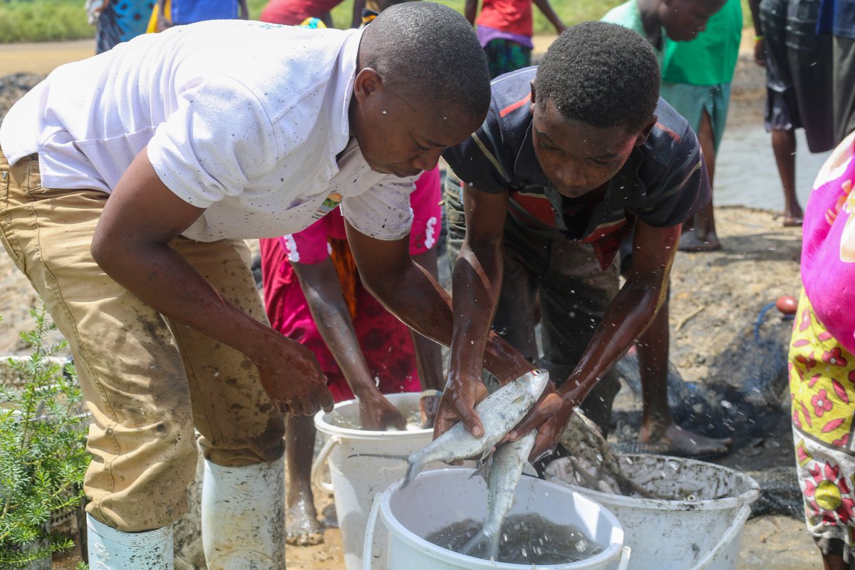 KilifiCountyGov's tweet photo. This achievement serves as a demonstration of our commitment at the @BlueEconomy003 to promote the sustainable management and development of fisheries within the Blue Economy framework and the fishing value chain https://t.co/LsQhJ2izas