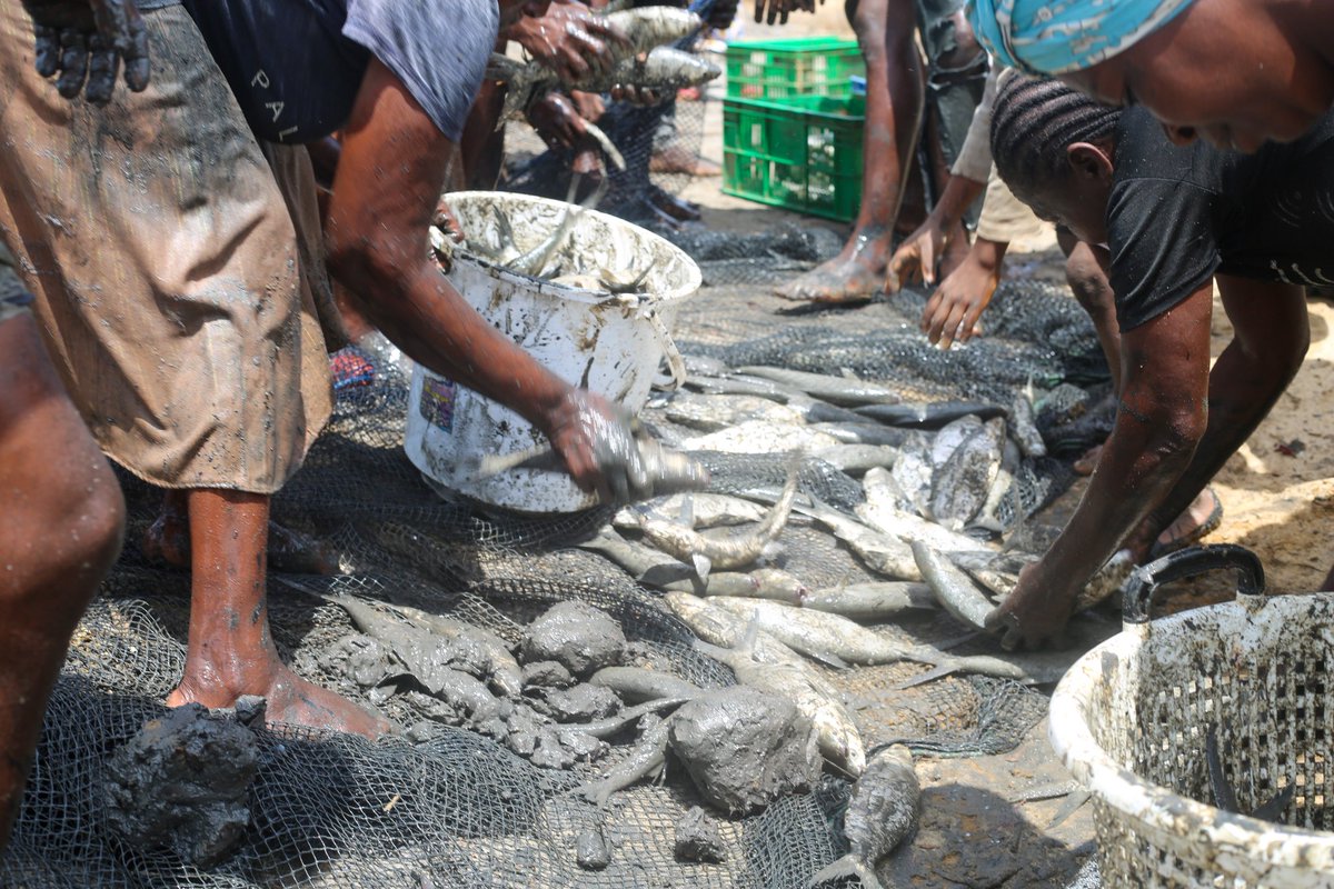 This achievement serves as a demonstration of our commitment at the <a href="/BlueEconomy003/">Directorate of Blue Economy - Kilifi County</a> to promote the sustainable management and development of fisheries within the Blue Economy framework and the fishing value chain