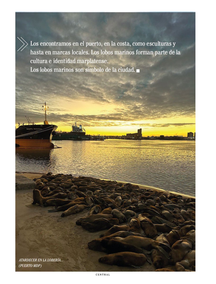 Martín Sala tweet media