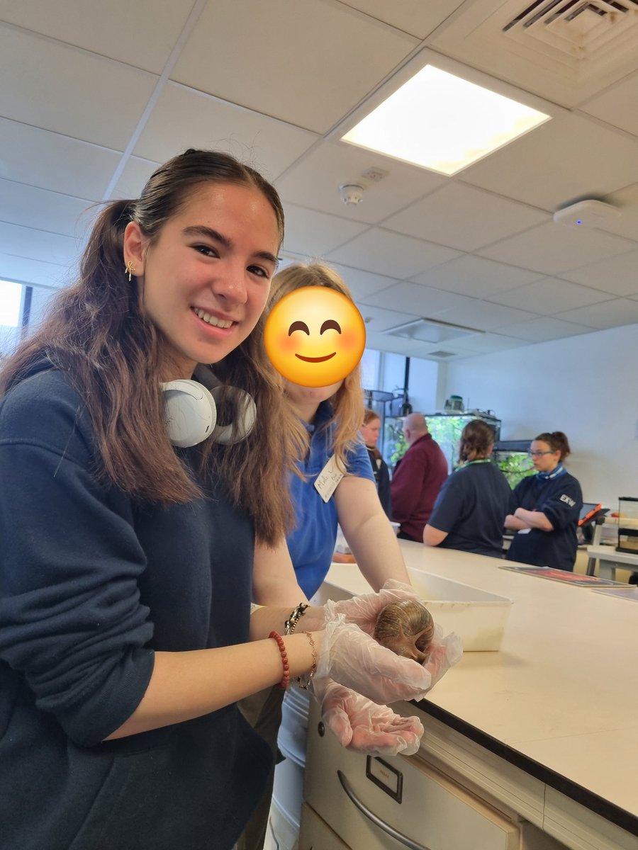 Dr Vikki Cheung tweet media