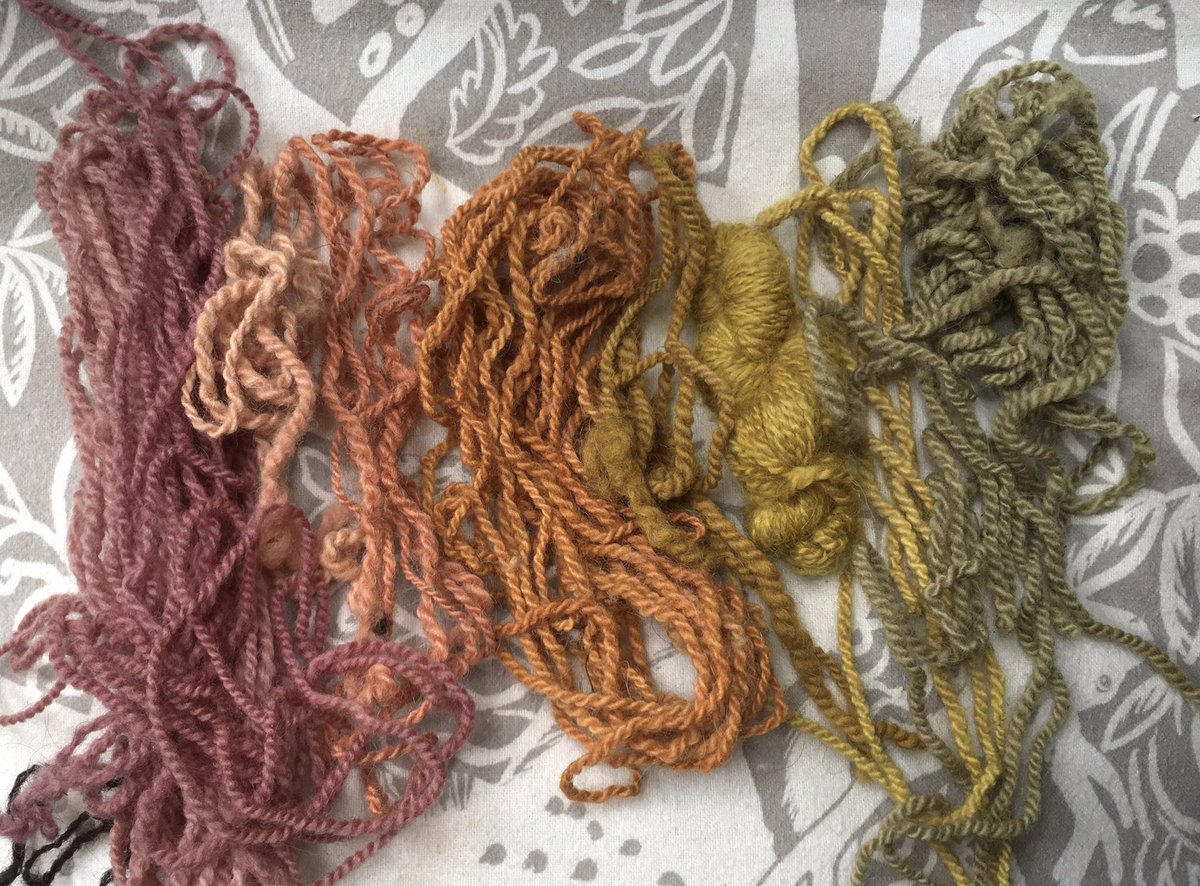 samples from all the natural dyeing i've done this year!! all colours 100% from plants + fungi i foraged in london and scotland 🥰