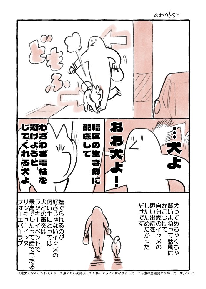 犬の思い出 