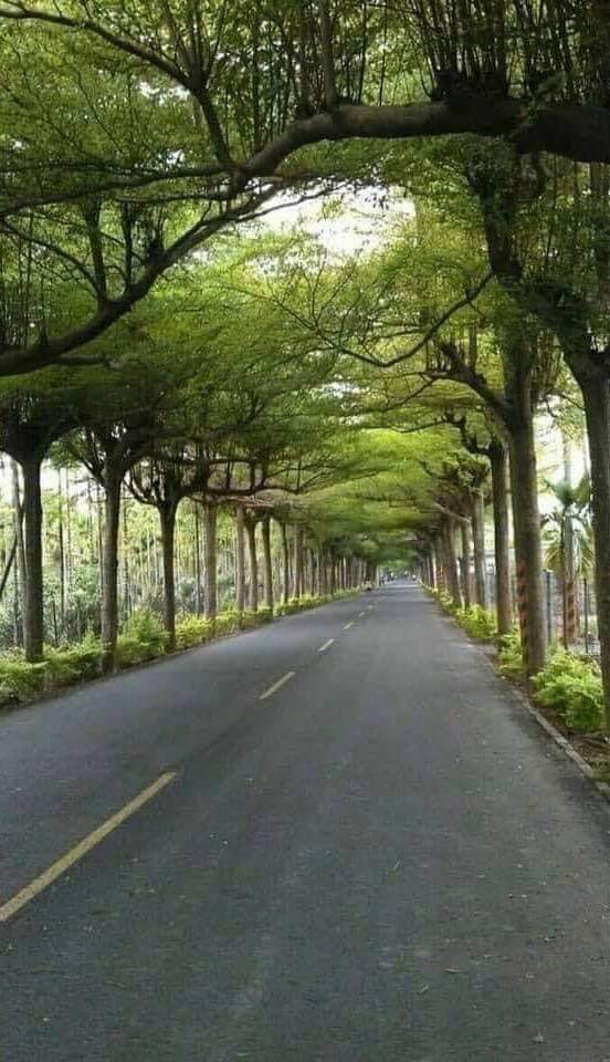 Roberth11255891's tweet photo. Agradece cada mañana por un mejor día.  . . Siembra 🌲 https://t.co/2VDObYwGIo