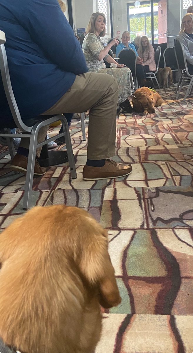 Biscuit listening attentively as Dawn tells us about life with Guide Dog Mickey. Thanks to all for the support this morning, every bit helps to deliver a very valued service. @guidedogsni @SorchaEastwood @gymforthesoul @AntrimLens @RobbieButlerMLA @WeatherCee @stephenblevins9