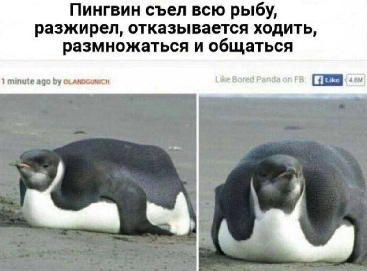 Мужики после тридцати би лайк: