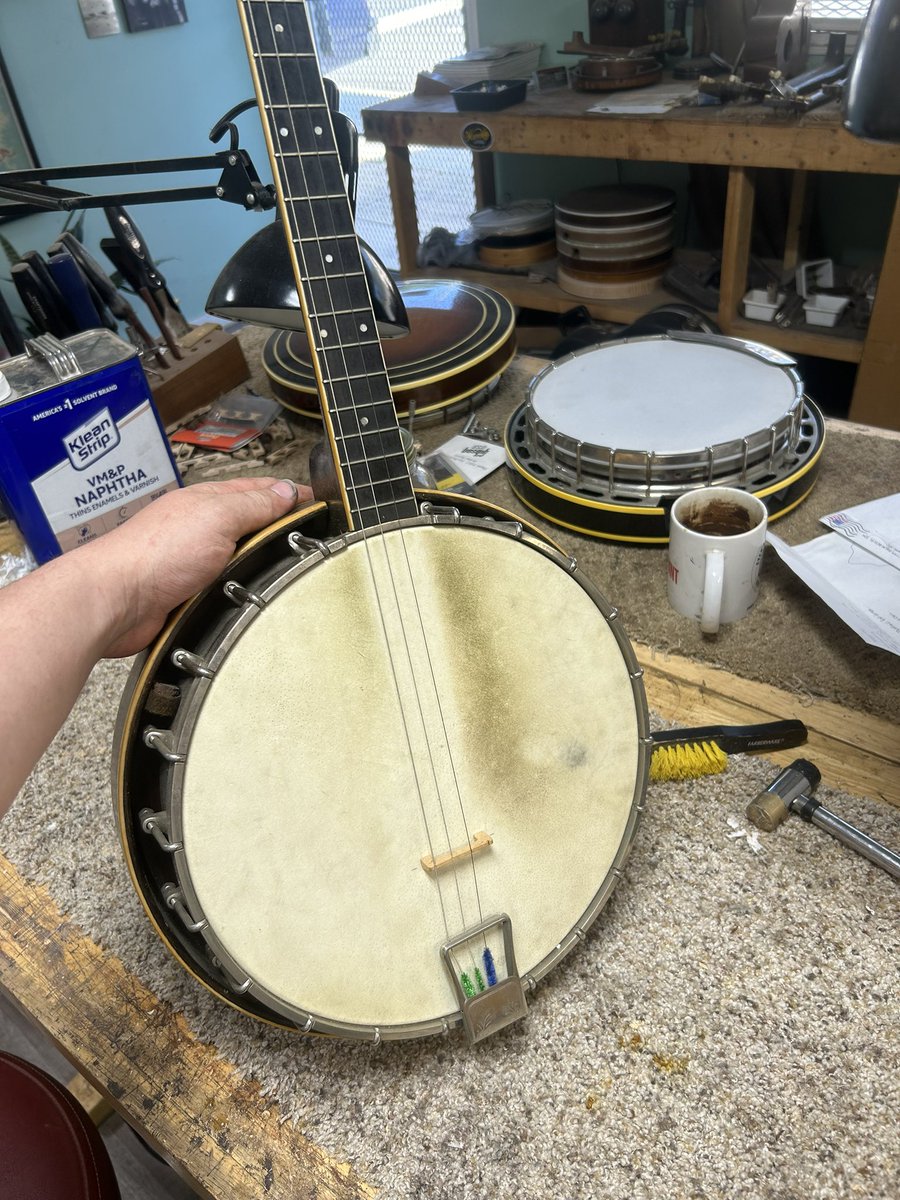 willmaddoxbanjo's tweet photo. My new toy #Weymann #Irish #tenor #banjo https://t.co/hWf0gcZQOX