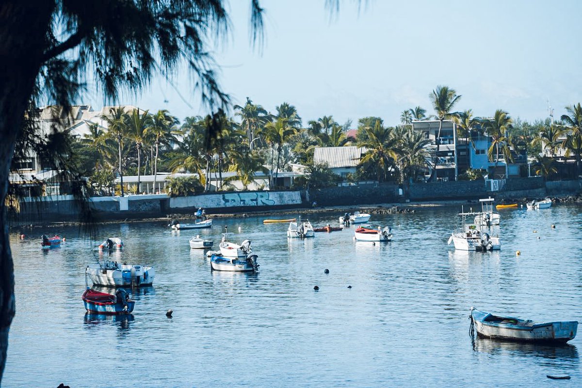 Le port de L’Étang Salé est une pépite de l’île. La pêche est un pilier de La Réunion dont nous voulons assurer l’avenir. Pour vous, nous avons obtenu 46 millions € de fonds 🇪🇺 et le renouvellement de la flotte de pêche de nos Outre-mer. Face aux belles paroles, des résultats !