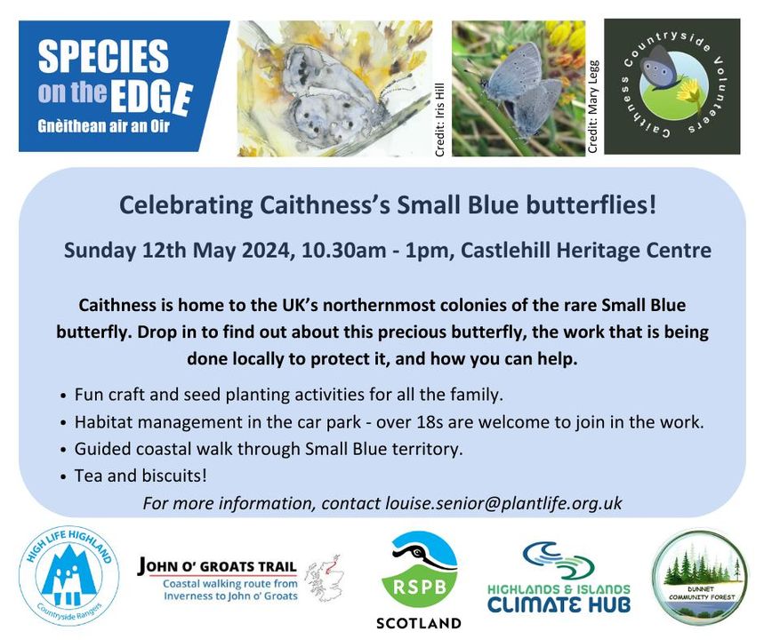 Mark your calendars and join our Species on the Edge North Coast project officers on Sunday 12 May from 10:30am to 1pm in celebrating the Small Blue Butterfly! For more information contact Louise Senior, People Engagement Officer: louise.senior@plantlife.org.uk