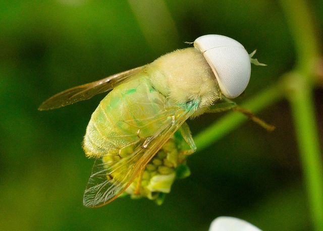 ꧁꧂ (@97sgub) on Twitter photo 