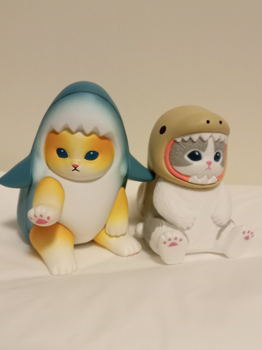 yutaka_ing's tweet photo. ご無沙汰しております。

うちのサメに家族（ウツボ）ができました。 https://t.co/3brT4YTxSS