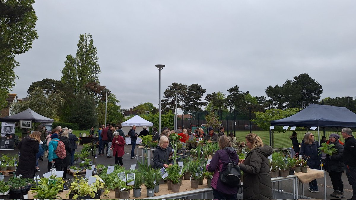 Terrific #plant sale this morning <a href="/teddingtonschl/">Teddington School</a> <a href="/TeddSchPTA/">TeddingtonSchPTA</a> thank you!