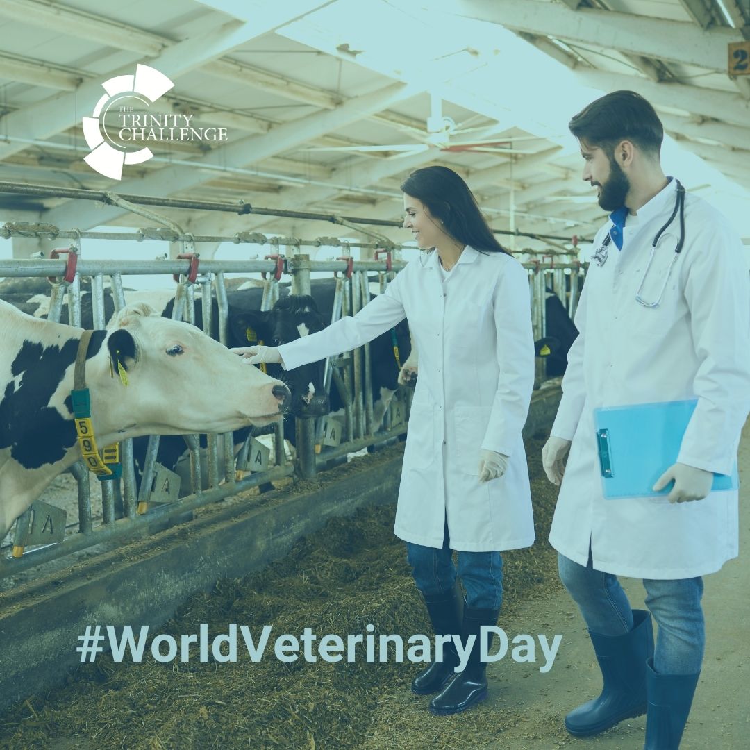 On #WorldVeterinaryDay we recognise the dedication of veterinarians worldwide in safeguarding animal health and their pivotal role in addressing #AntimicrobialResistance. By promoting responsible antibiotic use in animals, vets can help protect animal welfare and public health 🌐