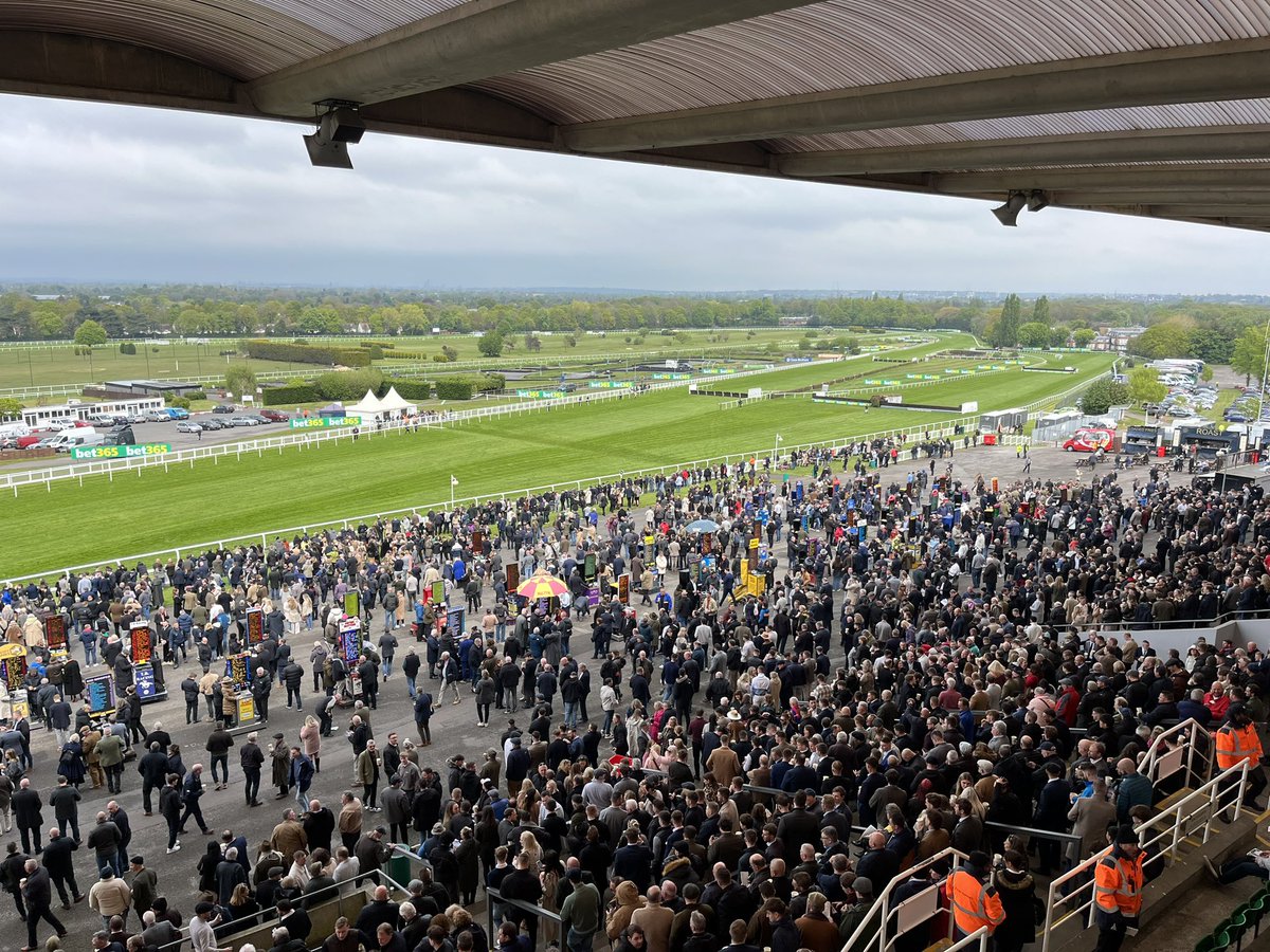 All set for the British jumps finale @Sandownpark 🐎 

@WillieMullinsNH is on the cusp of his first British champion jump trainer title 🏆 

#EveryRacingMoment #GreenTeam