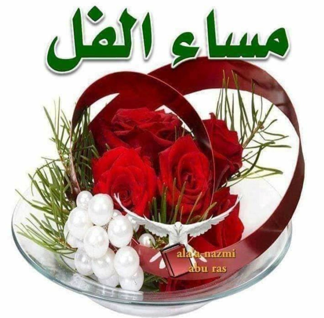 جوهرة يوسف tweet media