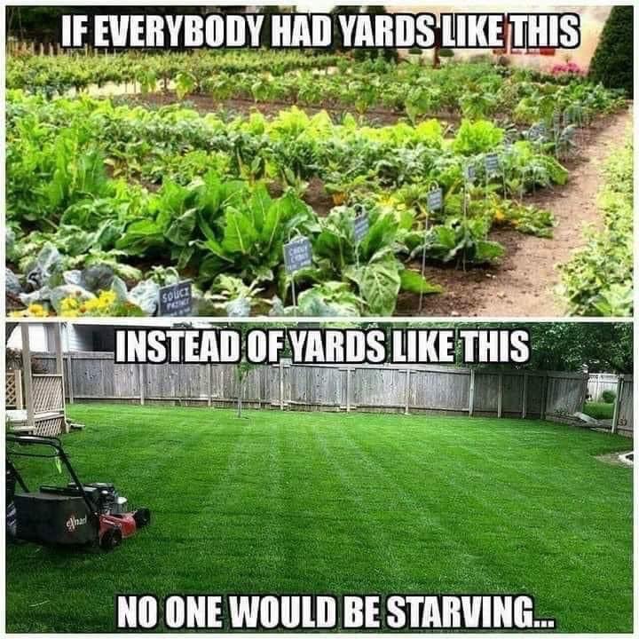 SemperAdventum2 (@sadventum2) on Twitter photo <a href="/BrockRiddickIFB/">Brock Riddick</a> <a href="/elonmusk/">Elon Musk</a> Actually we can live without farmers. Hell, <a href="/SemperAdventum/">❤️Mrs. SAdventum2❤️</a> and I are doing everything we can to get away from BIG FARMA/PHARMA. How can you endorse dependency on anyone other than oneself? Trust no one especially with your food supply. <a href="/BrockRiddickIFB/">Brock Riddick</a> <a href="/elonmusk/">Elon Musk</a> Actually we can live without farmers. Hell, <a href="/SemperAdventum/">❤️Mrs. SAdventum2❤️</a> and I are doing everything we can to get away from BIG FARMA/PHARMA. How can you endorse dependency on anyone other than oneself? Trust no one especially with your food supply.