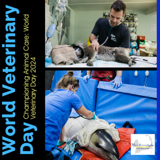 Happy World Veterinary Day to our favorite vets: Dr. Mark Oldham and Dr. Stephanie Esmond. #worldveterinaryday #animalcare @marisennott @todayre