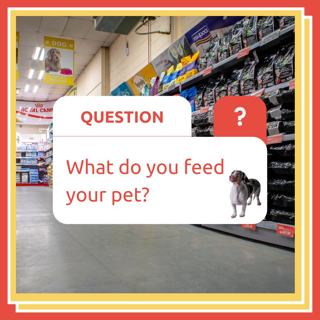 RookesPetProducts tweet media