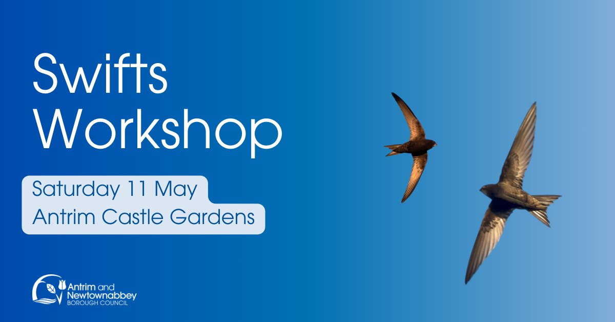 Calling all Birdwatchers! 👀 🦅 Celebrate World Migratory Bird Day with our Swift Workshop! 📅 Saturday 11 May at 10.30am - 1.30pm 📍 Antrim Castle Gardens 🎟️ Tickets: £1.25 | Book Now! bit.ly/3xU4ulq