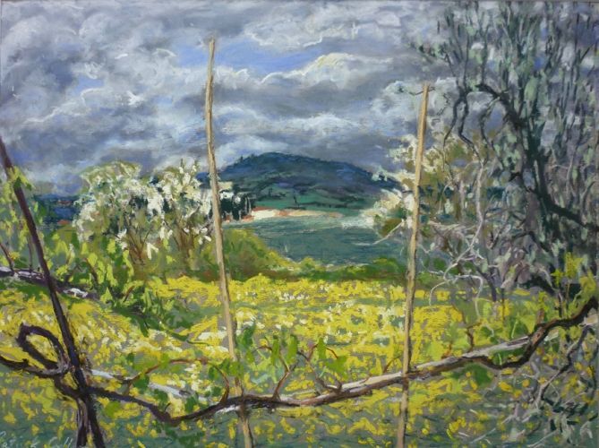Browse our collection of works by #NEAC member #artists for under £1000: buff.ly/3wOdx3b Search by subject, artist, medium or price. FREE UK P&P Featured artwork: Mustard Field and Vine, Tuscany by Patrick Cullen #newenglishartclub #NEAC #art #artist #painting #buyart