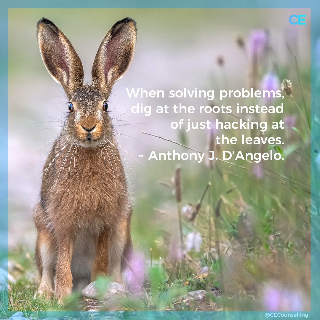 When solving problems, dig at the roots instead of just hacking at the leaves. ~ Anthony J. D'Angelo. ❤️❤️ #Counsellor #anxiety #depression #Alzheimers #Dementia #Carers #TherapistsConnect #support #Grief #Selfcare #love #mentalhealth #couplestherapy